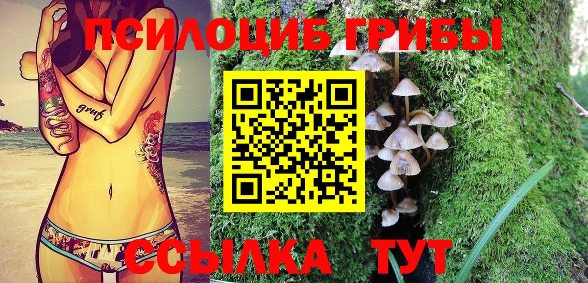 Галлюциногенные грибы GOLDEN TEACHER  Вход с VPN  Полевской 
